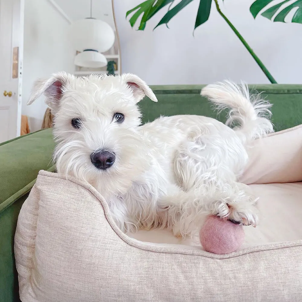 Dog Bed - Square Bread