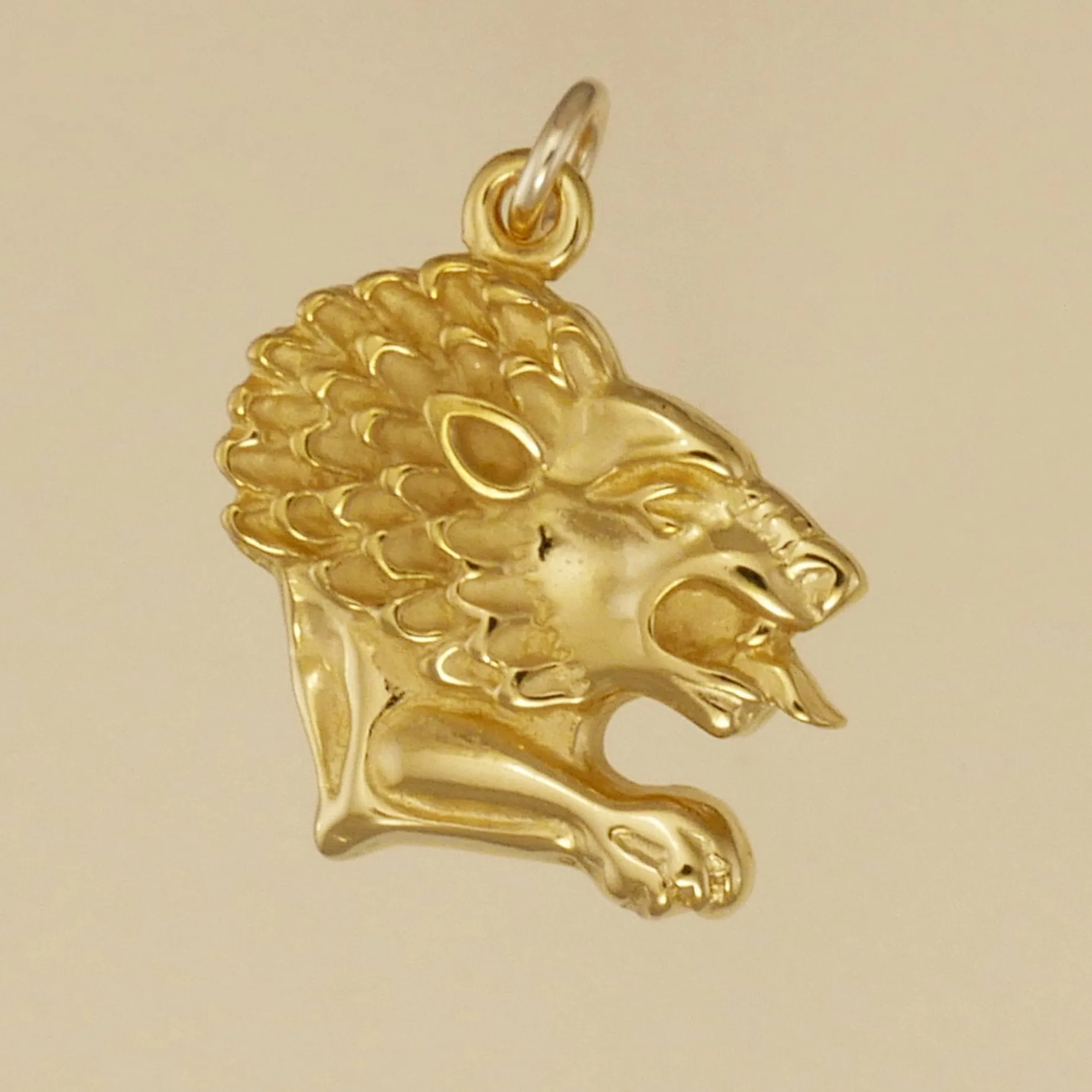 Lion Head Charm