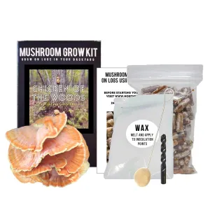 Organic Chicken of the Woods Mushroom Outdoor Log Kit