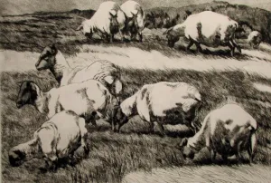 "Grazing Sheep" by Anne Lyman Powers - Black and White Animals Etching on Paper