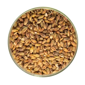 Roasted Barley Malt - Briess