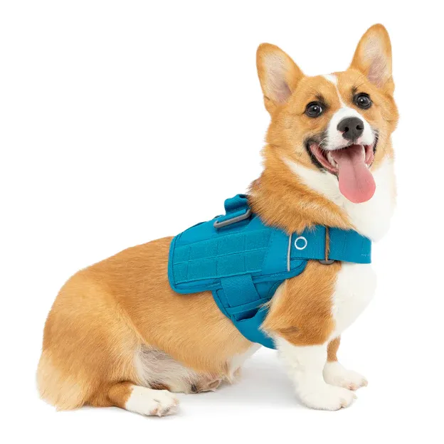 RSG Dog Townie Harness