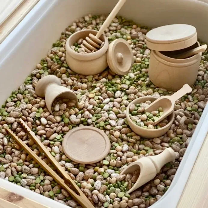 Wooden Montessori Sensory Bin Tools Made in USA